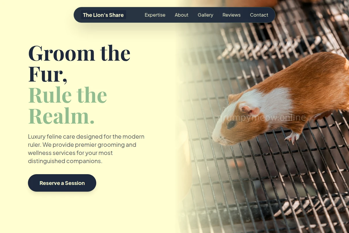 Catnip Animal Care