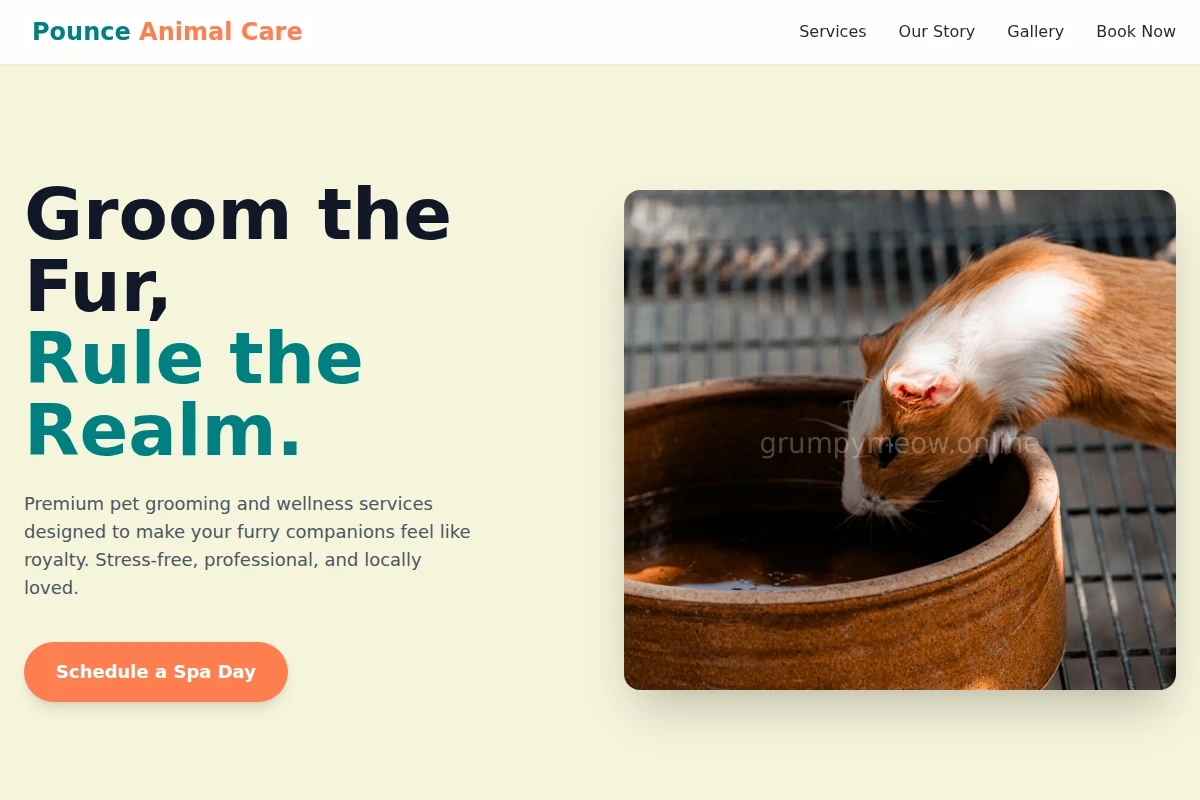 Pounce Animal Care