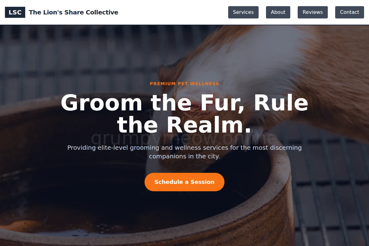 Tabby Animal Care