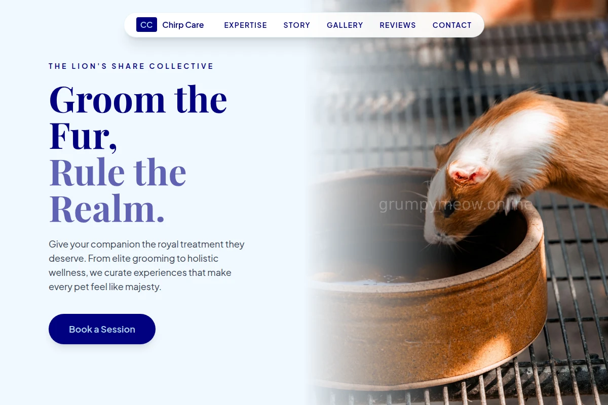 Chirp Animal Care