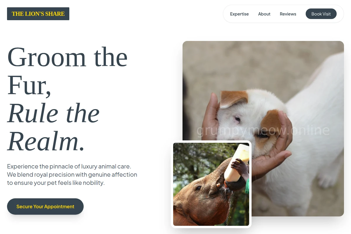 Paws Animal Care