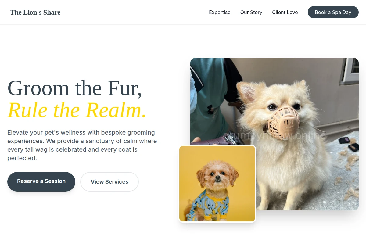 Snooze Pet Grooming