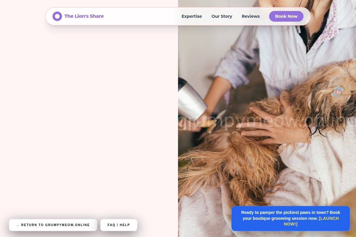pet-grooming