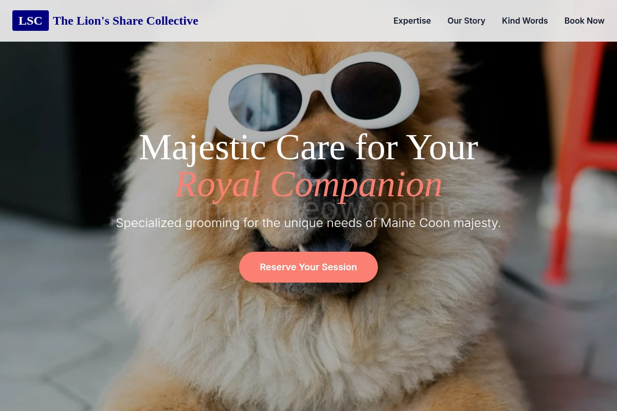 Maine Coon Pet Grooming