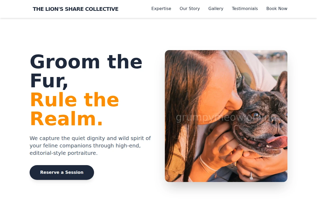 Feline Pet Photography
