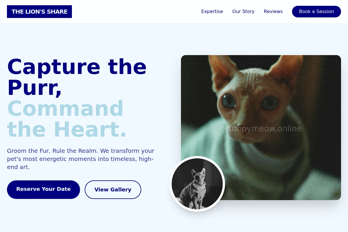 pet-photography