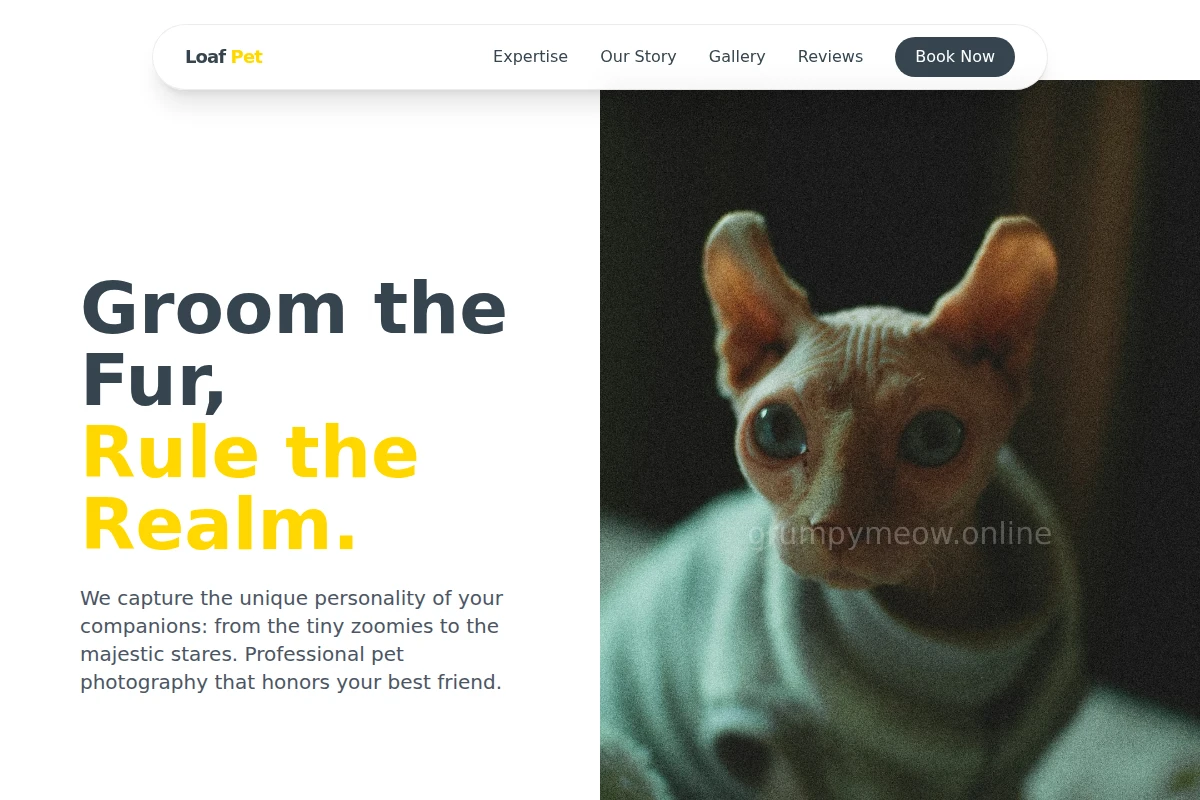 pet-photography