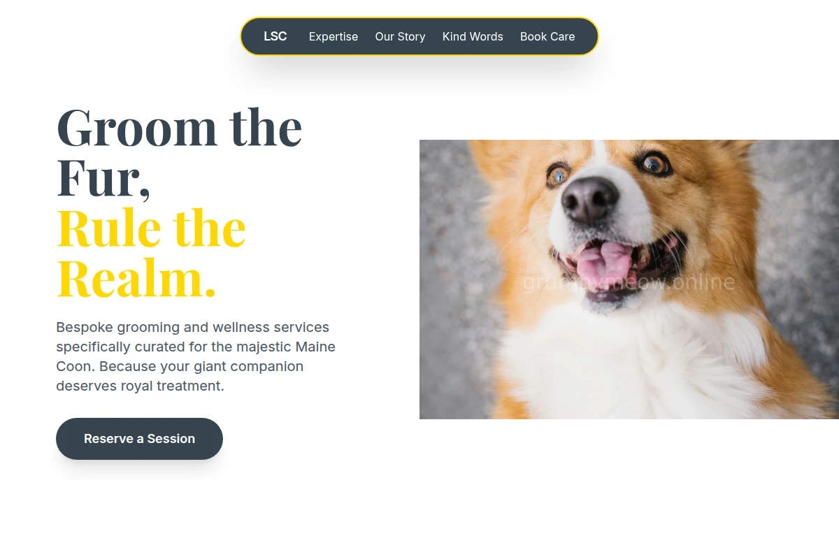 Maine Coon Pet Services